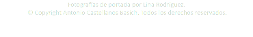 Fotografías de portada por Lina Rodríguez. © Copyright Antonio Castellanos Basich. Todos los derechos reservados.